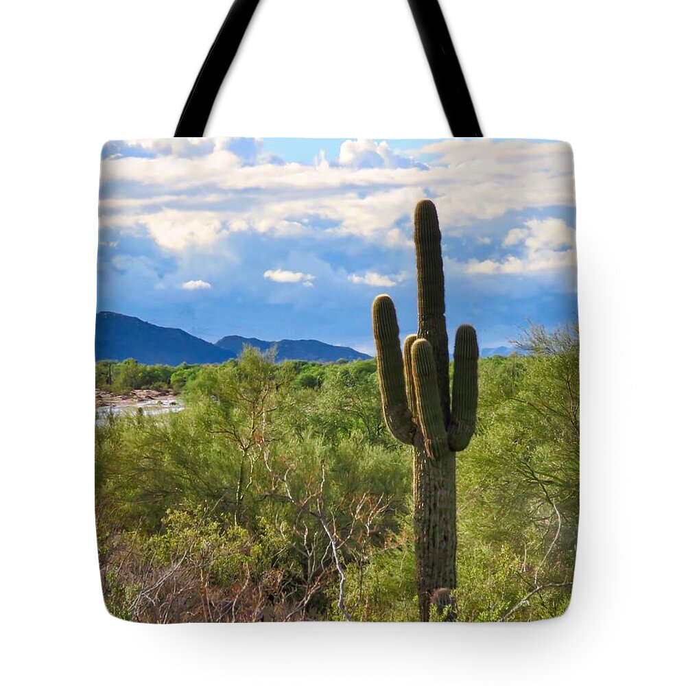 Arizona Tote Bag featuring the photograph Sonoran Desert Landscape Post-Monsoon by Judy Kennedy