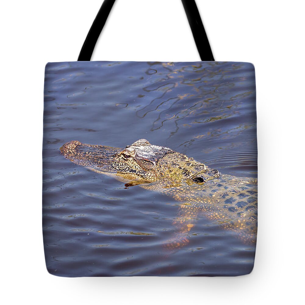 American Alligator Tote Bag featuring the photograph South Padre Island American Alligator by Debra Martz