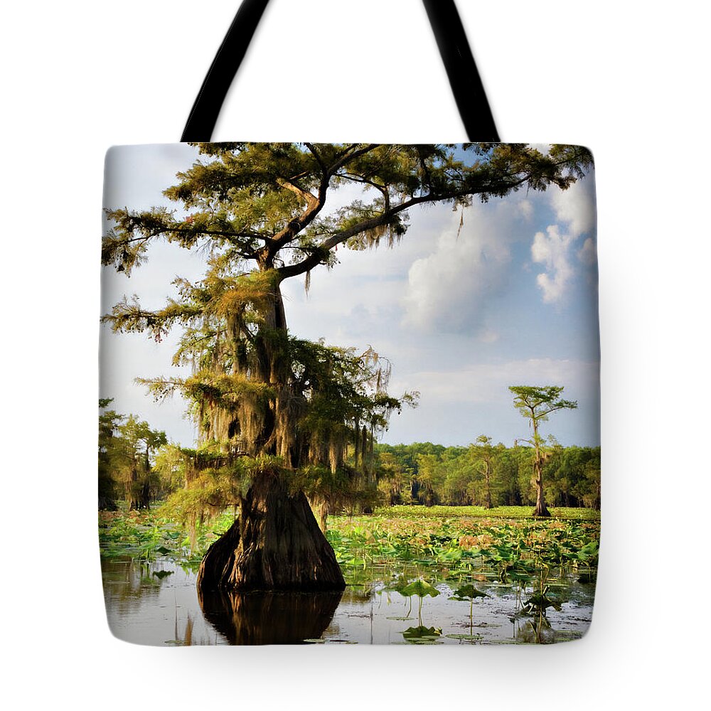 Bald Cypress Tote Bag featuring the photograph Southern Canopy by Lana Trussell
