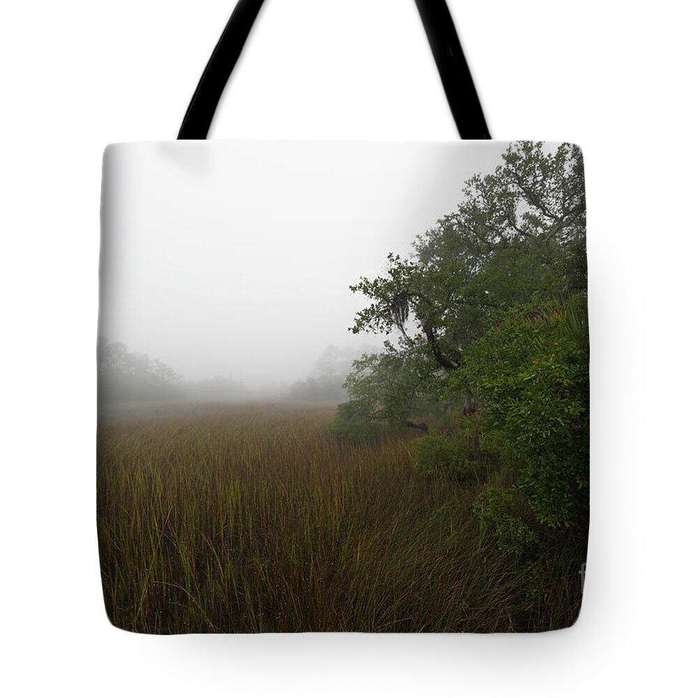 Fog Tote Bag featuring the photograph Southern Framed Fog by Dale Powell