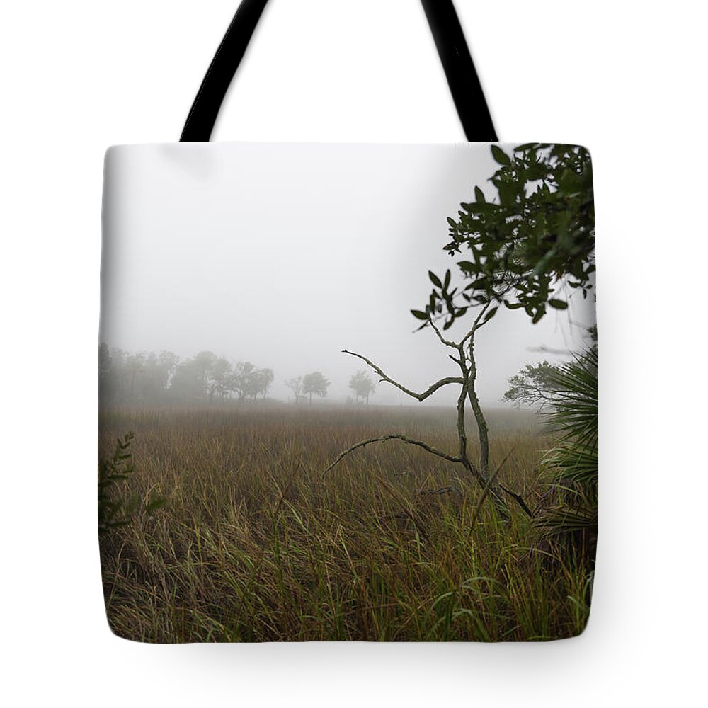 Fog Tote Bag featuring the photograph Southern Layers of Fog by Dale Powell