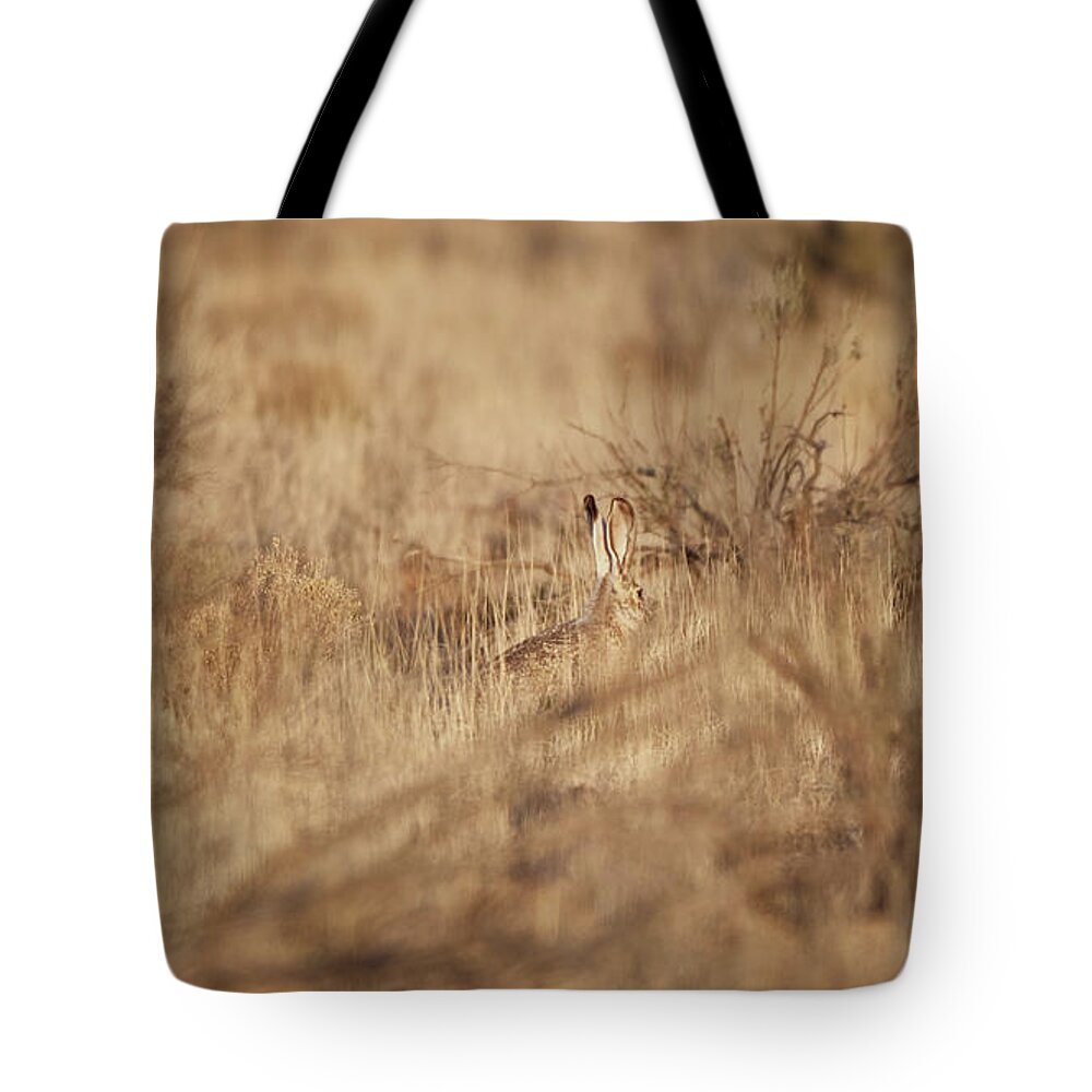 Desert Rabbit Tote Bag featuring the photograph Southwest Bunny by Robert WK Clark