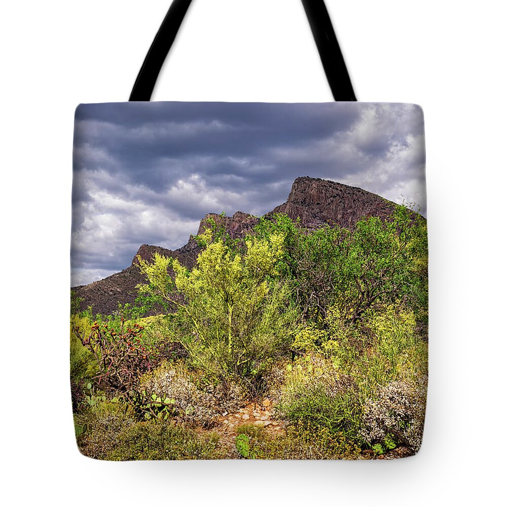 Santa Catalina Tote Bag featuring the photograph Southwest Spring h1948 by Mark Myhaver