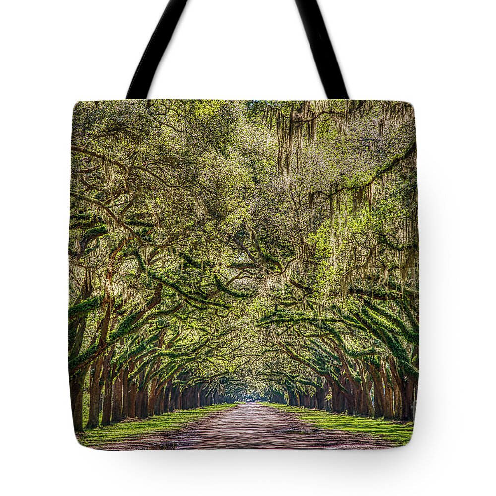 Moss Tote Bag featuring the photograph Spanish Moss Tree Tunnel by Paul Quinn
