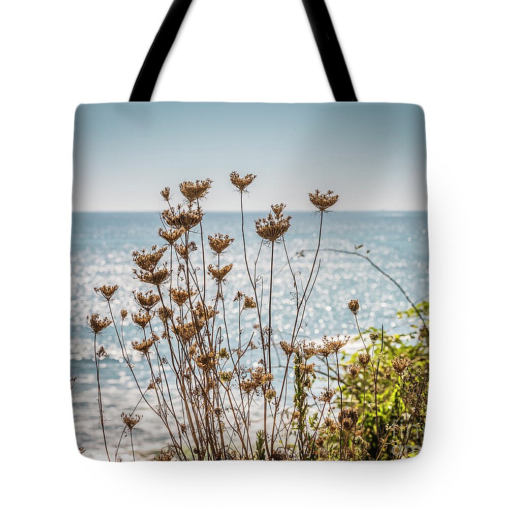 Plants Tote Bag featuring the photograph Sparkling background by Agnes Caruso