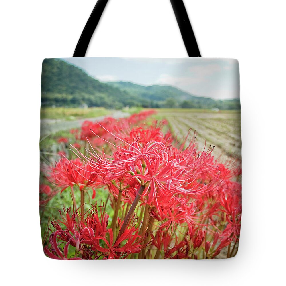 Spider Lily Tote Bag featuring the photograph Spider Lily by Yoshika Sakai