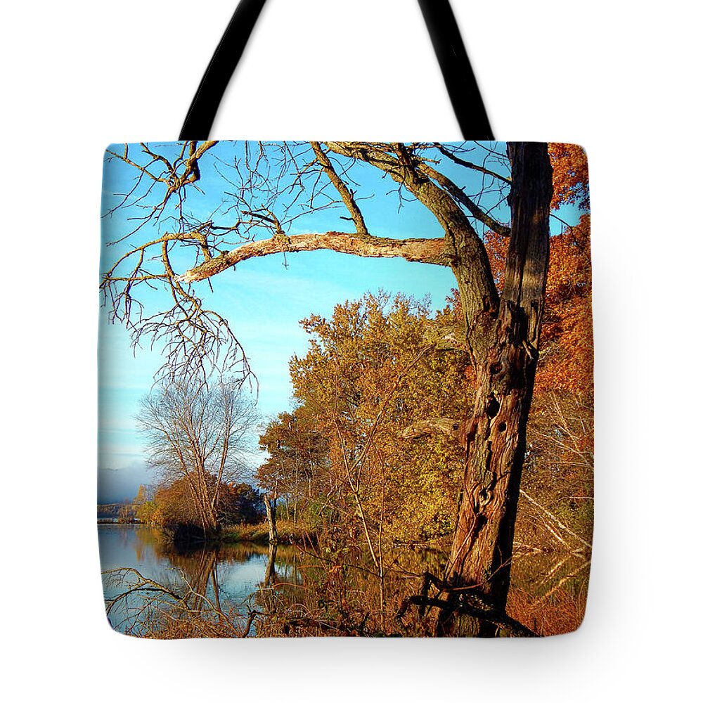 Morning Tote Bag featuring the photograph Spirit in the Tree by Wild Thing