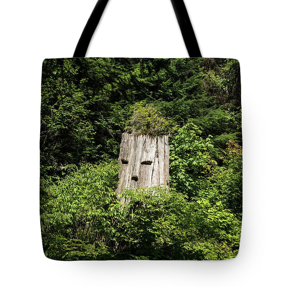 Spirit Of The Forest Tote Bag featuring the photograph Spirit of the Forest by Tom Cochran