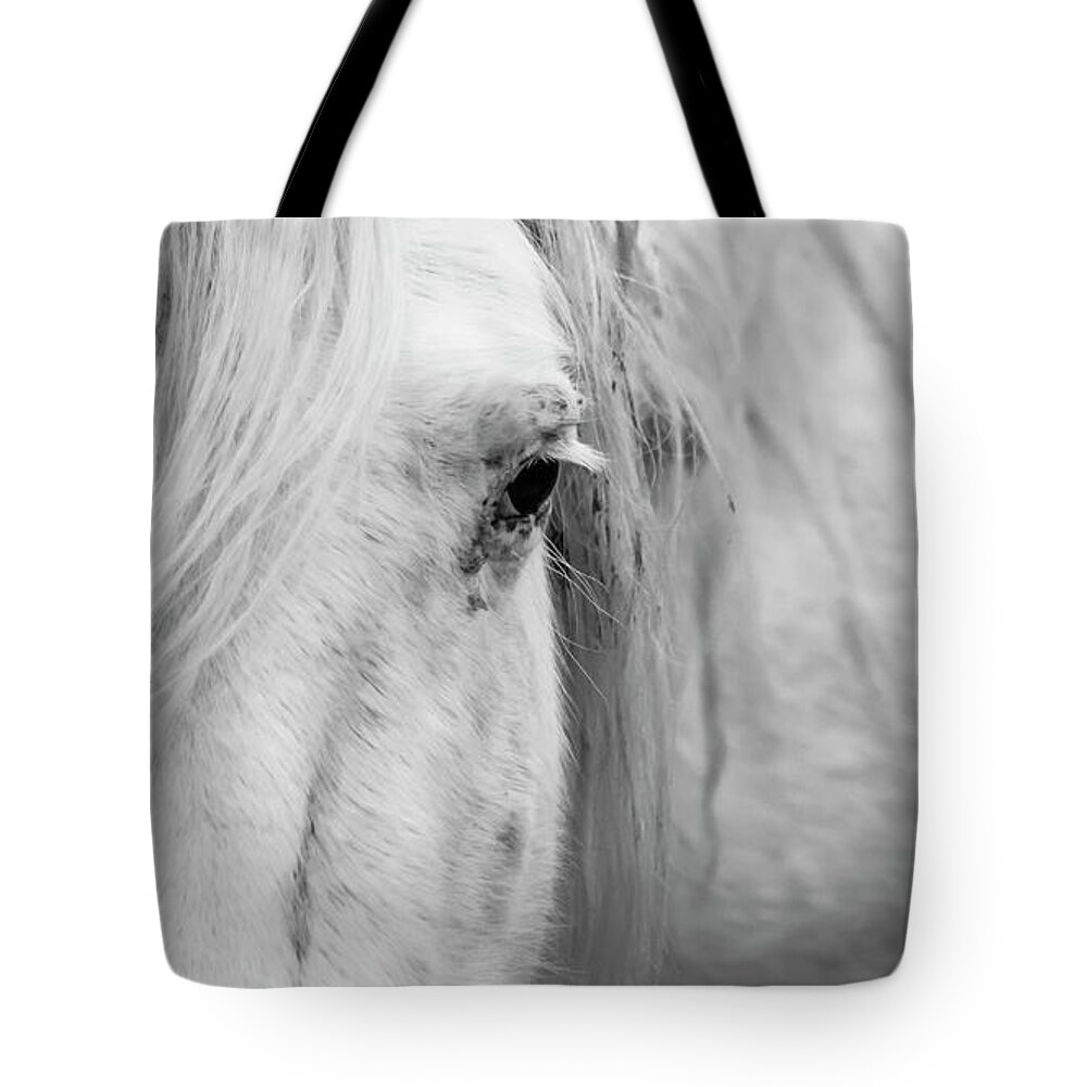 Wild Horse Tote Bag featuring the photograph Spirit of the Wild by Holly Ross