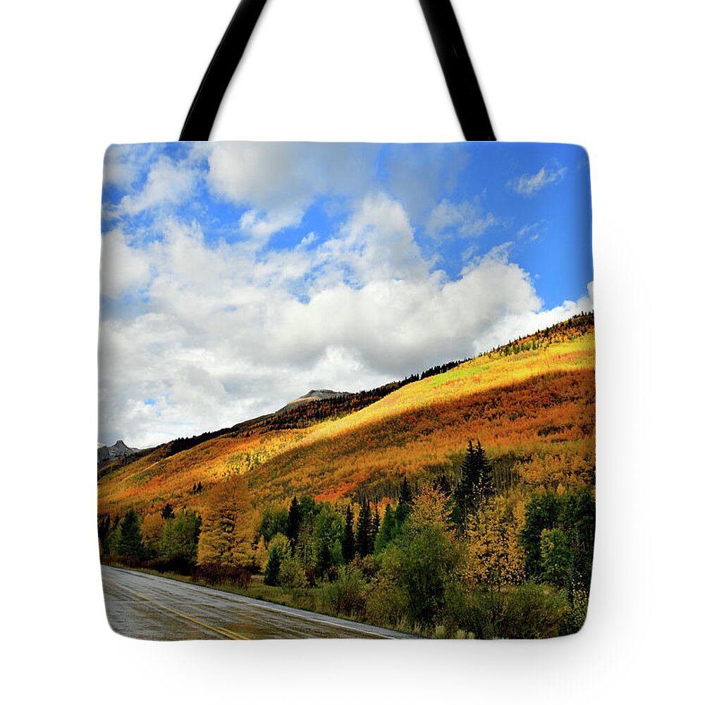 Red Mountain Pass Tote Bag featuring the photograph Spotlight on Fall Colors along Million Dollar Highway by Ray Mathis