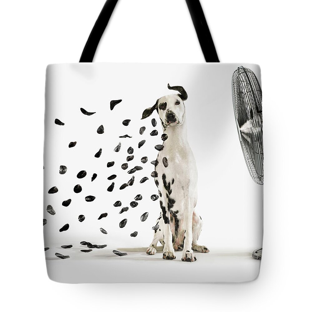 Pets Tote Bag featuring the photograph Spots Flying Off Dalmation Dog by Gandee Vasan