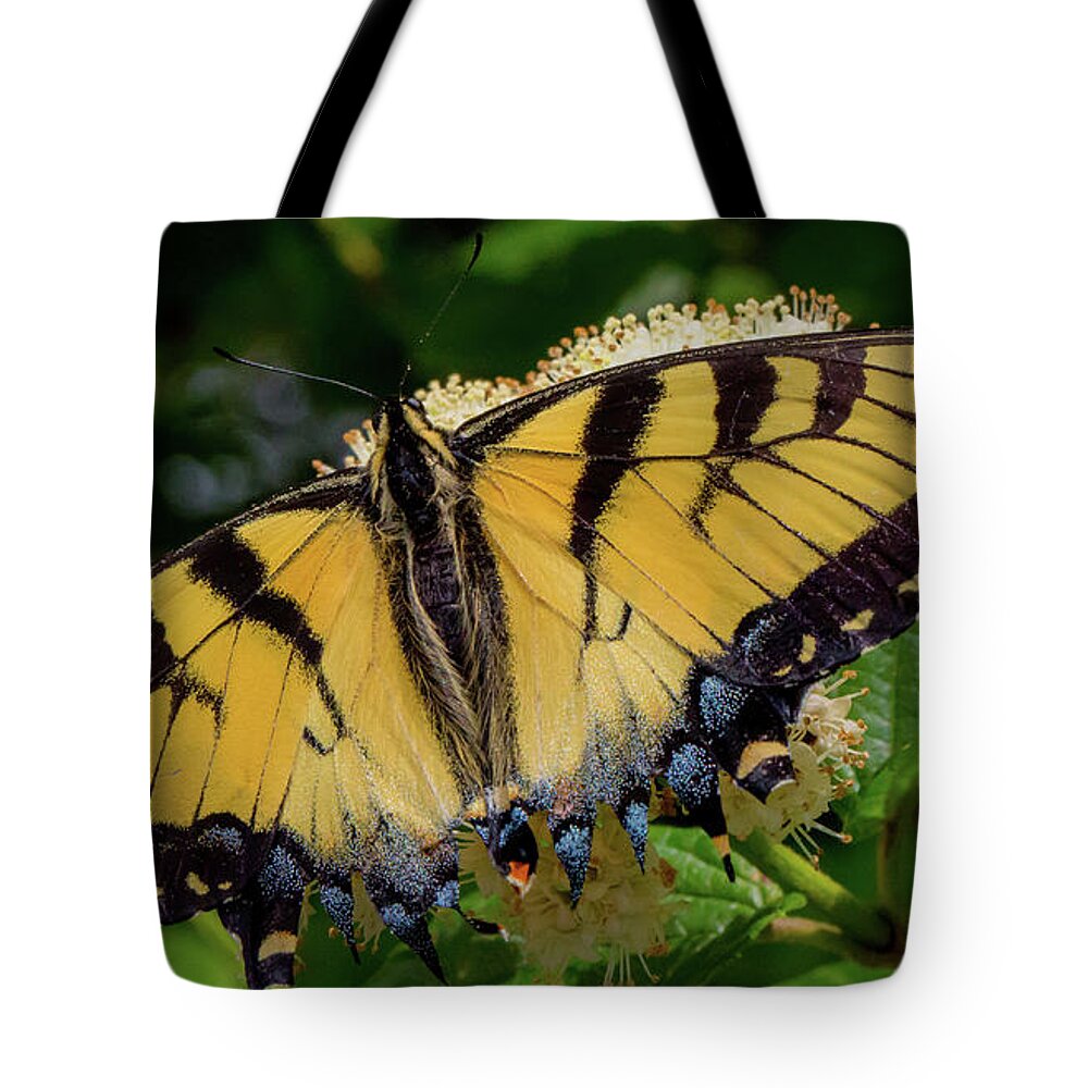 Butterfly Tote Bag featuring the photograph Spread Your Wings by Lora J Wilson