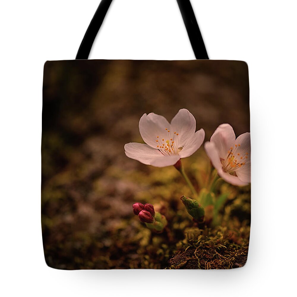 University Of Washington Tote Bag featuring the photograph Spring Arrival in Seattle by Dan Mihai