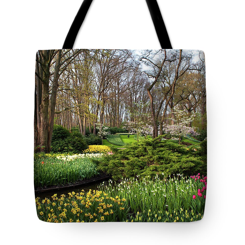 Jenny Rainbow Fine Art Photography Tote Bag featuring the photograph Spring Blooms in Keukenhof by Jenny Rainbow