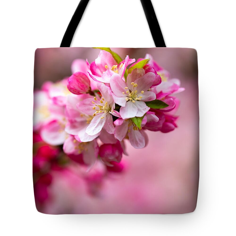 Spring Tote Bag featuring the photograph Spring Blooms by Roberta Kayne