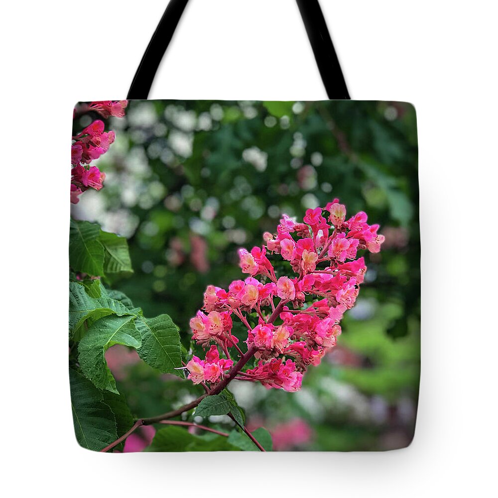 Pink Tote Bag featuring the photograph Spring Blossoms by Lora J Wilson