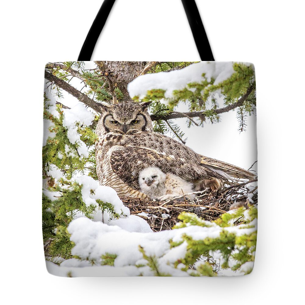 Airport Tote Bag featuring the photograph Spring Caregiver by Kevin Dietrich