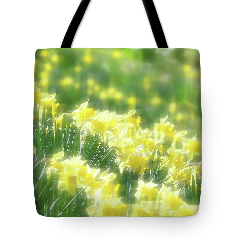 Daffodils Tote Bag featuring the photograph Spring Daffodils by Kenneth Krolikowski