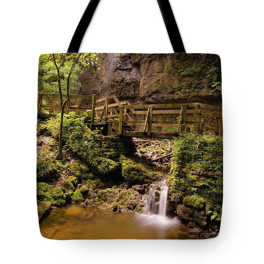Gorge Tote Bag featuring the photograph Spring in the Gorge by Arthur Oleary