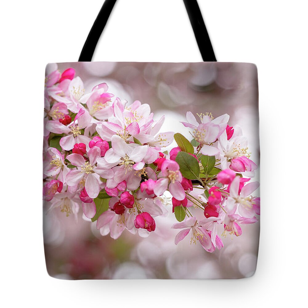 Spring Tote Bag featuring the photograph Cherry Blossom Spring at Dougherty by Vanessa Thomas