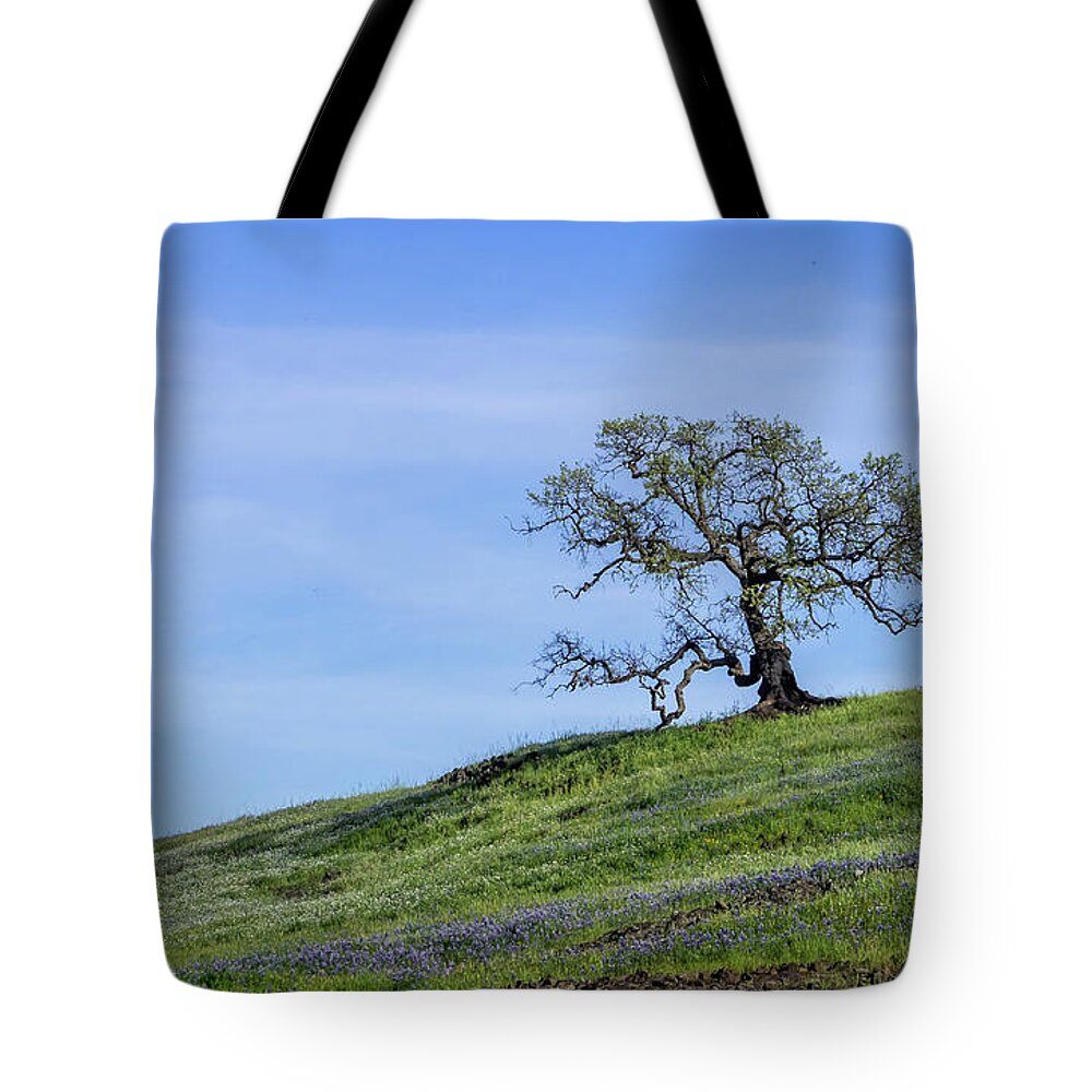 California Tote Bag featuring the photograph Spring Oak by Martin Gollery