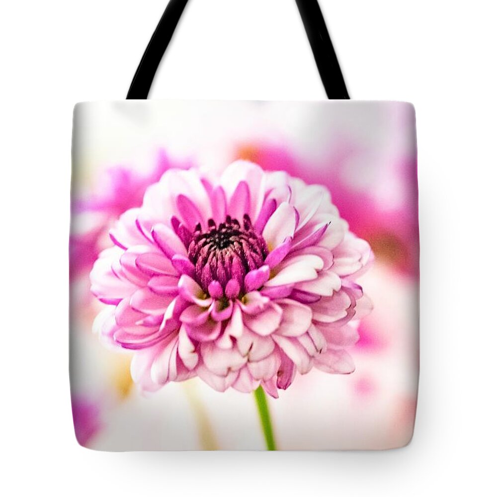 Zinnia Tote Bag featuring the photograph Spring Zinnia by Mary Ann Artz