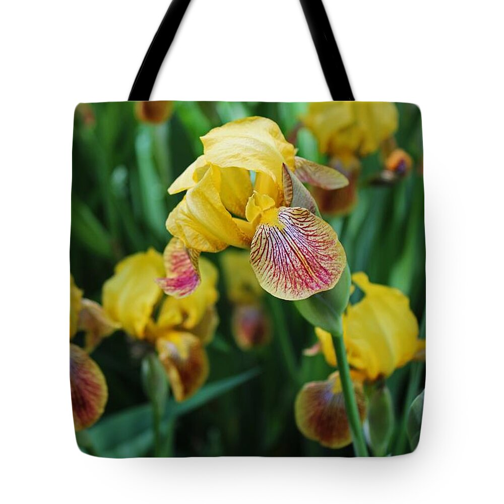 Iris Tote Bag featuring the photograph Springtime Sway by Michiale Schneider
