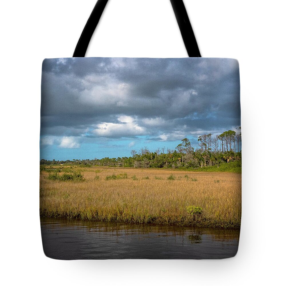 Barberville Roadside Yard Art And Produce Tote Bag featuring the photograph Spruce Creek Park by Tom Singleton