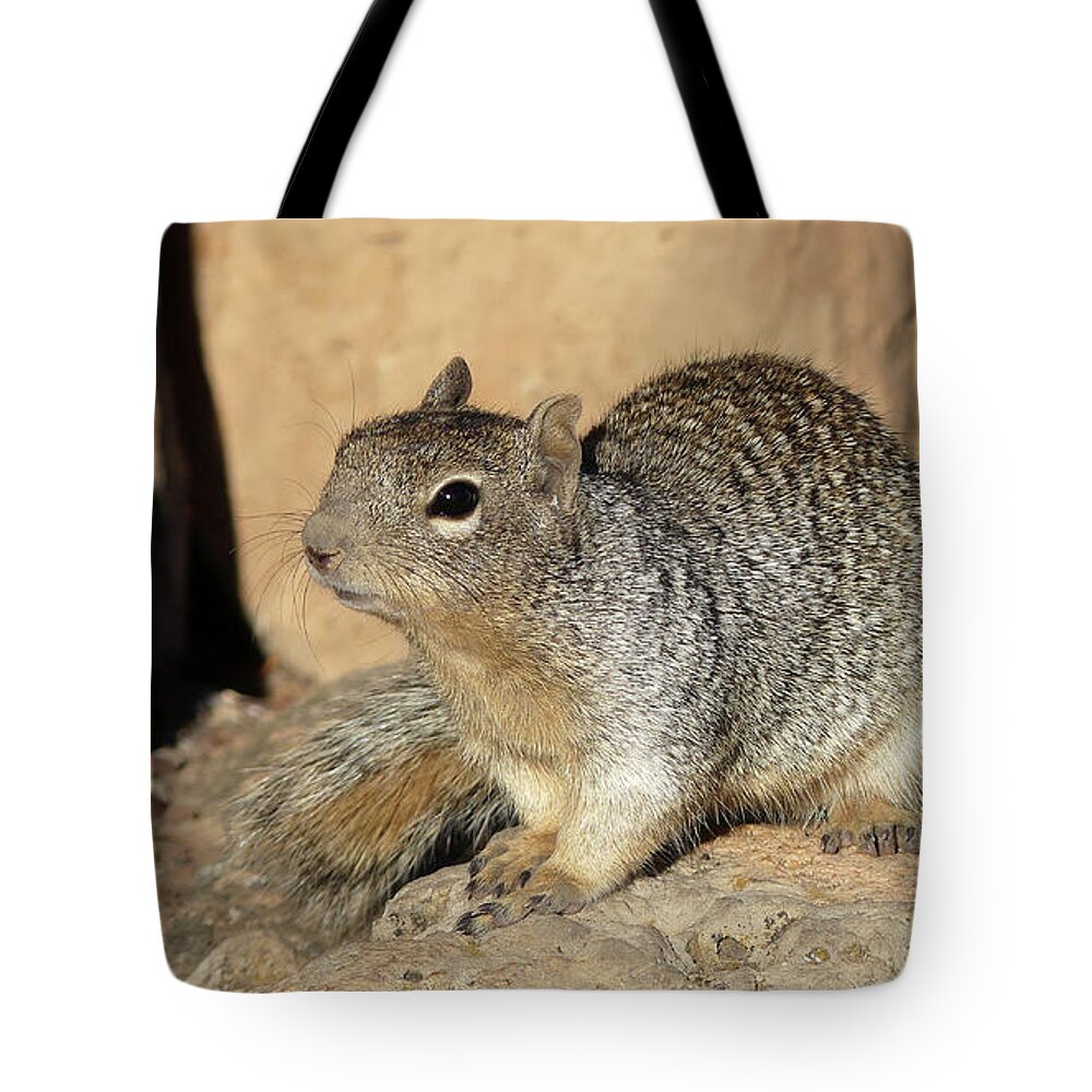 Usa Tote Bag featuring the pyrography Squirrel by Magnus Haellquist