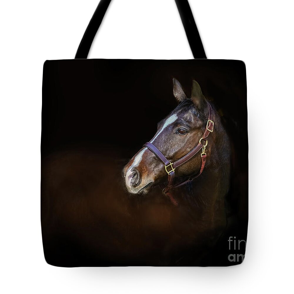 Horse Tote Bag featuring the photograph Stallion by JBK Photo Art