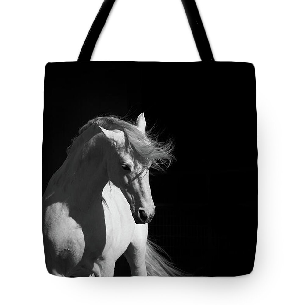 Horse Tote Bag featuring the photograph Stallion On Black by 66north