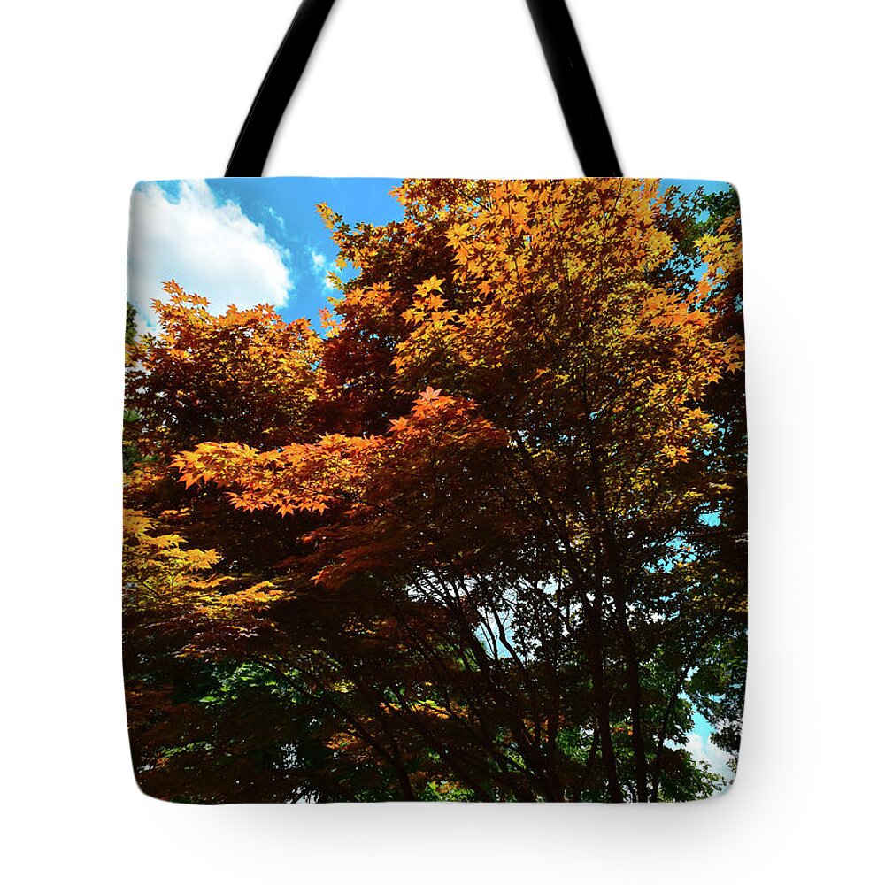 Photograph Tote Bag featuring the photograph Stand Out by Kelly Thackeray