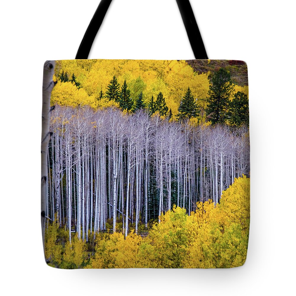 Aspens Tote Bag featuring the photograph Standing Naked by Johnny Boyd