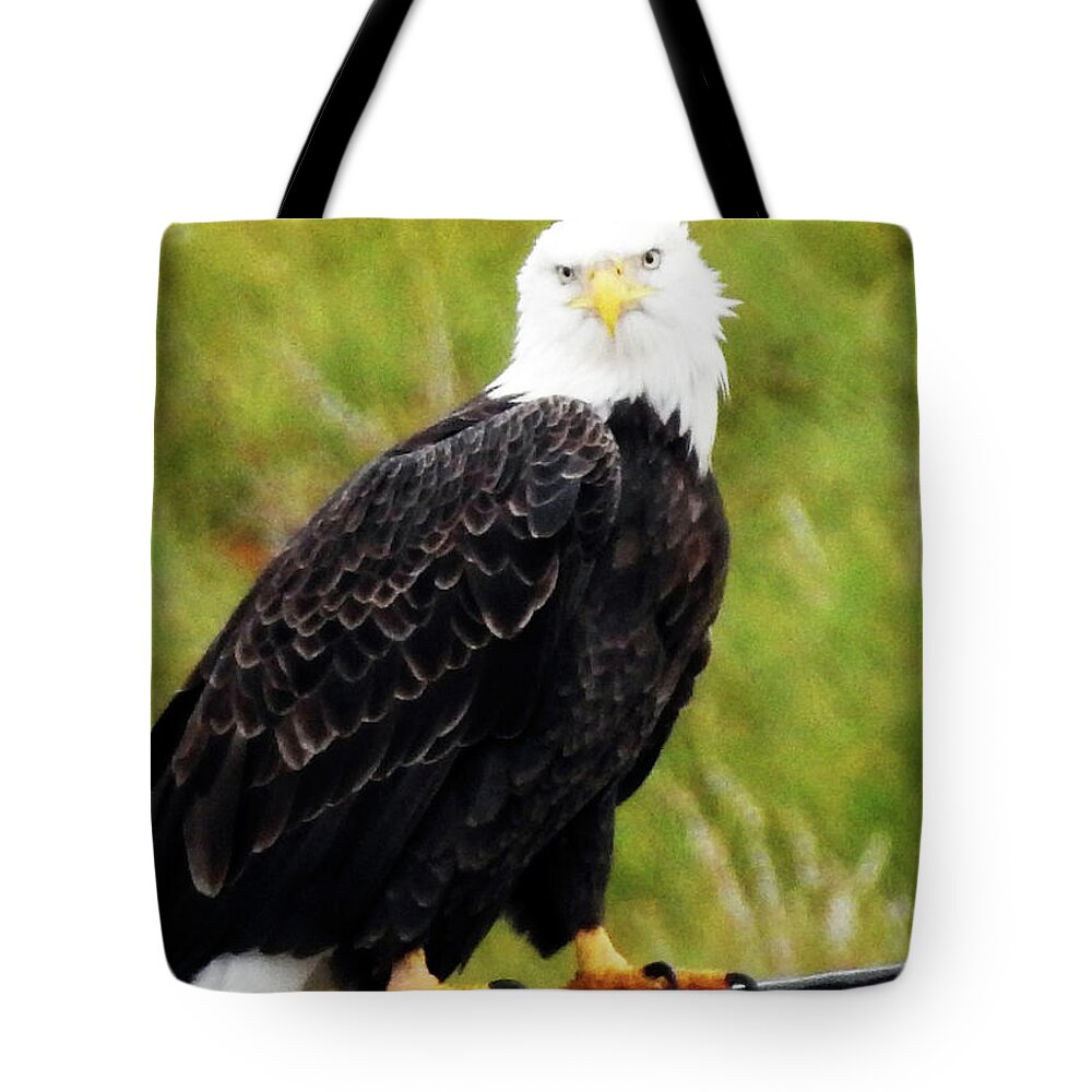 Julie Clements Tote Bags
