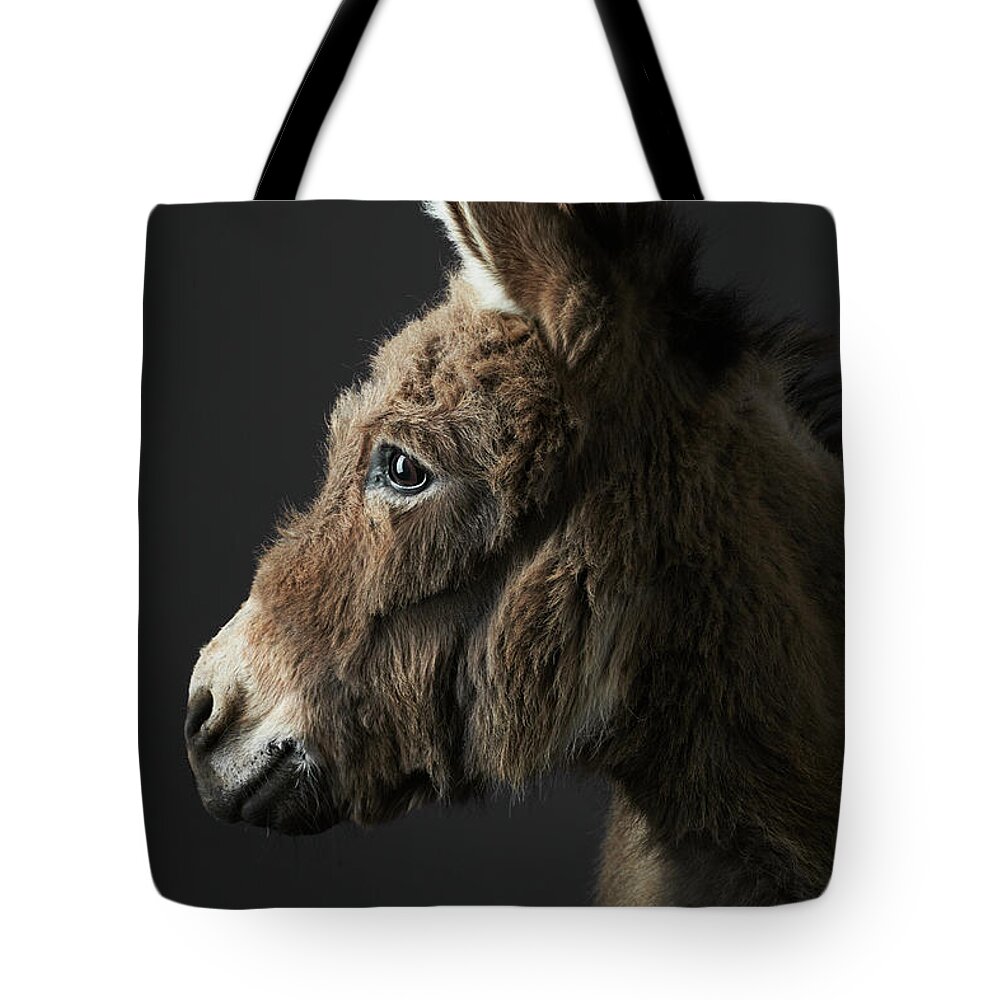 Working Animal Tote Bag featuring the photograph Stanley The Donkey by Peter Samuels