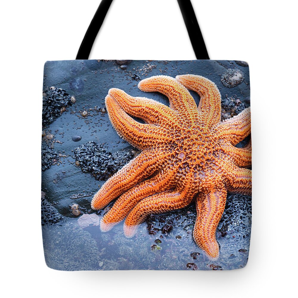Starfish Tote Bag featuring the photograph Starfish by Turnervisual