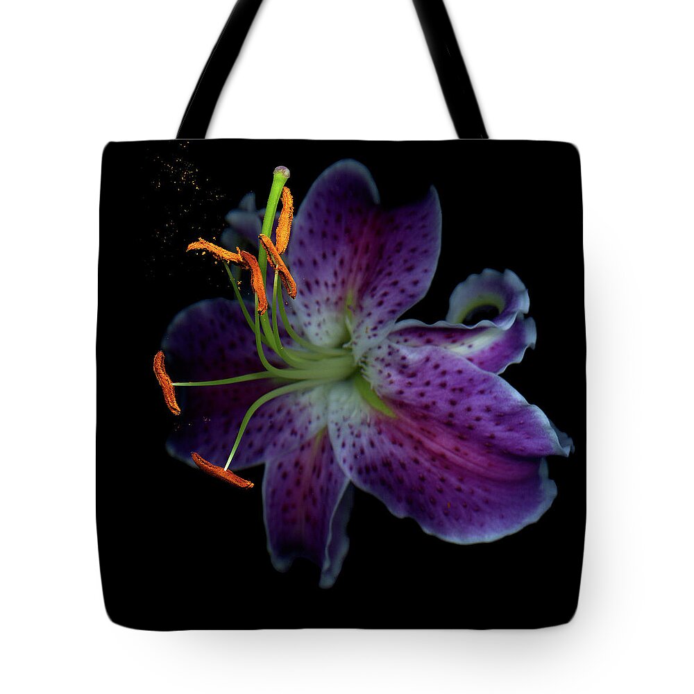 Black Background Tote Bag featuring the photograph Stargazer Lily by Photograph By Magda Indigo
