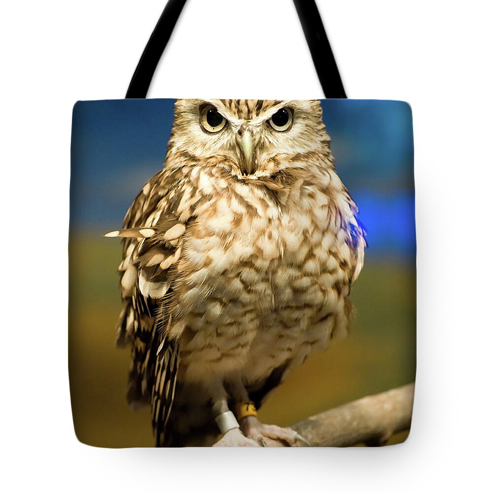 Alertness Tote Bag featuring the photograph Staring Contest by @ Christopher J. Bandera