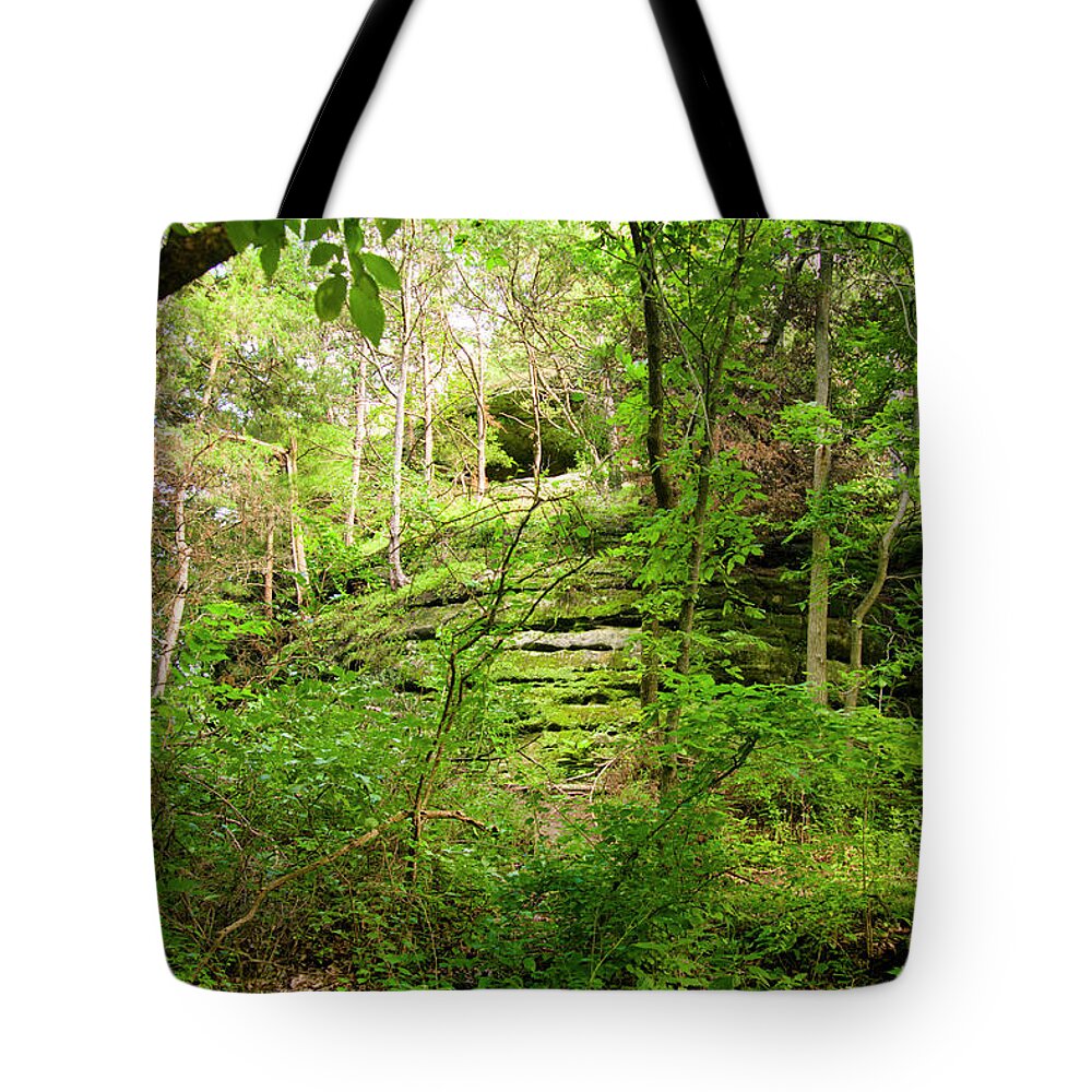 Starved Rock Tote Bag featuring the photograph Starved Rock by Scott Smith