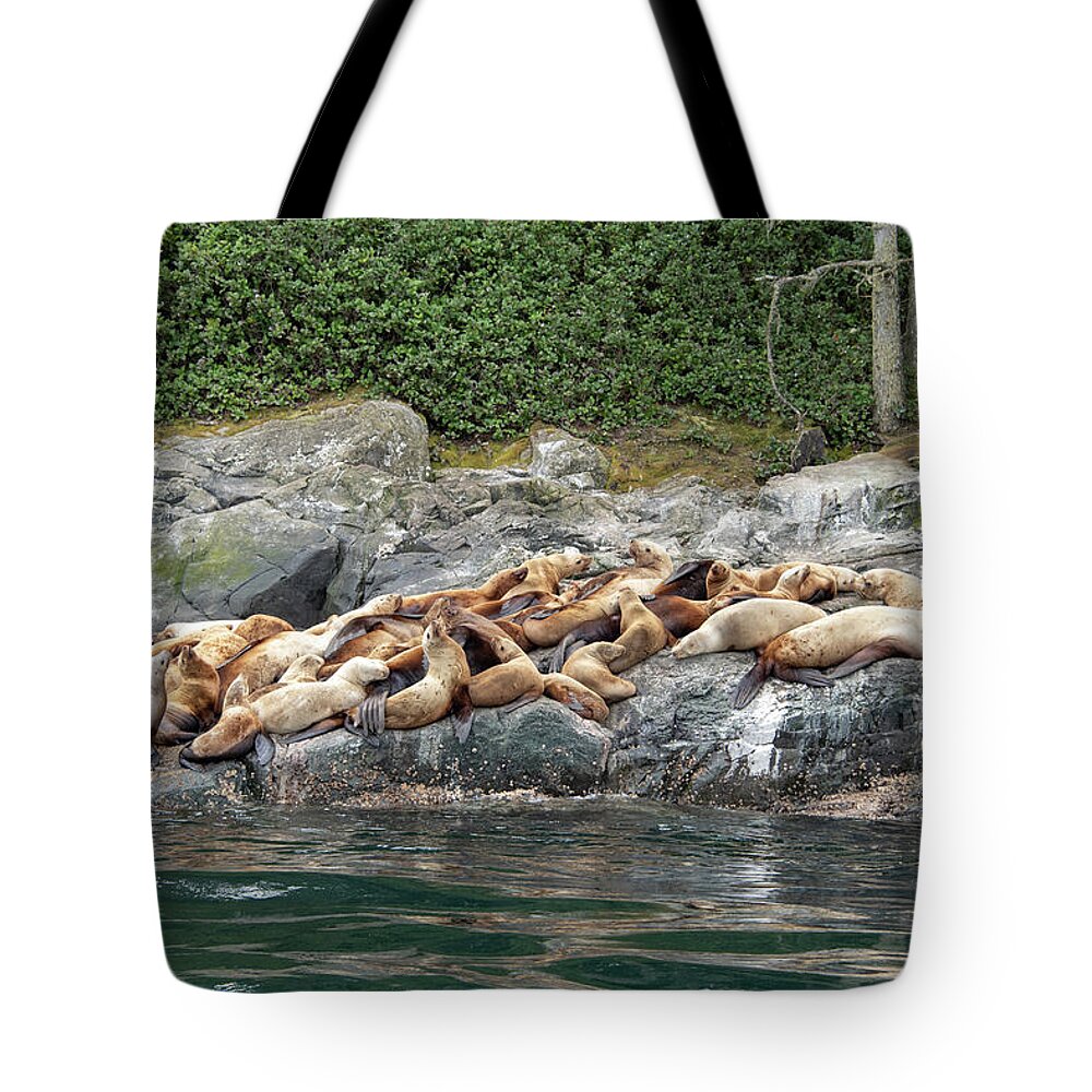 British Columbia Tote Bag featuring the photograph Steller Sea Lion by Canadart -