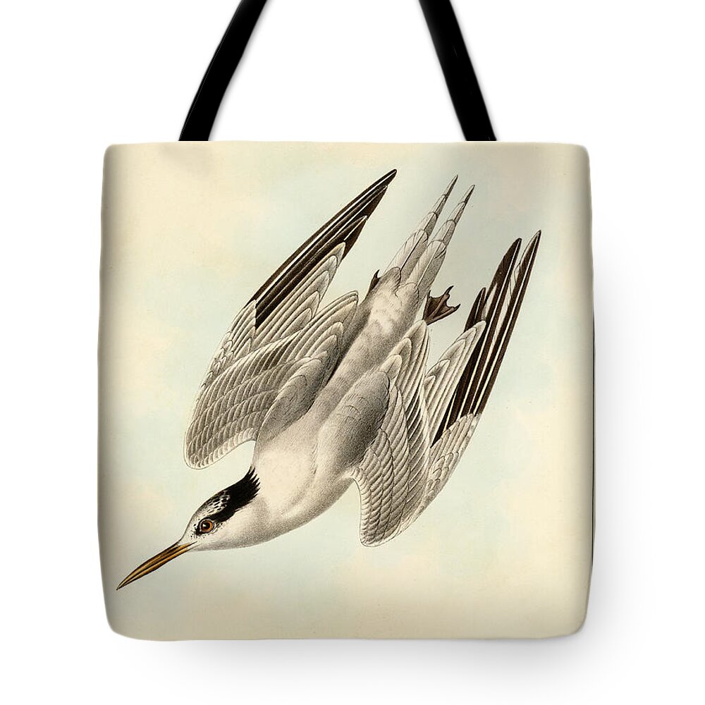 Birds Tote Bag featuring the mixed media Sterna Elegans by Bowen and Co lith and col Phila