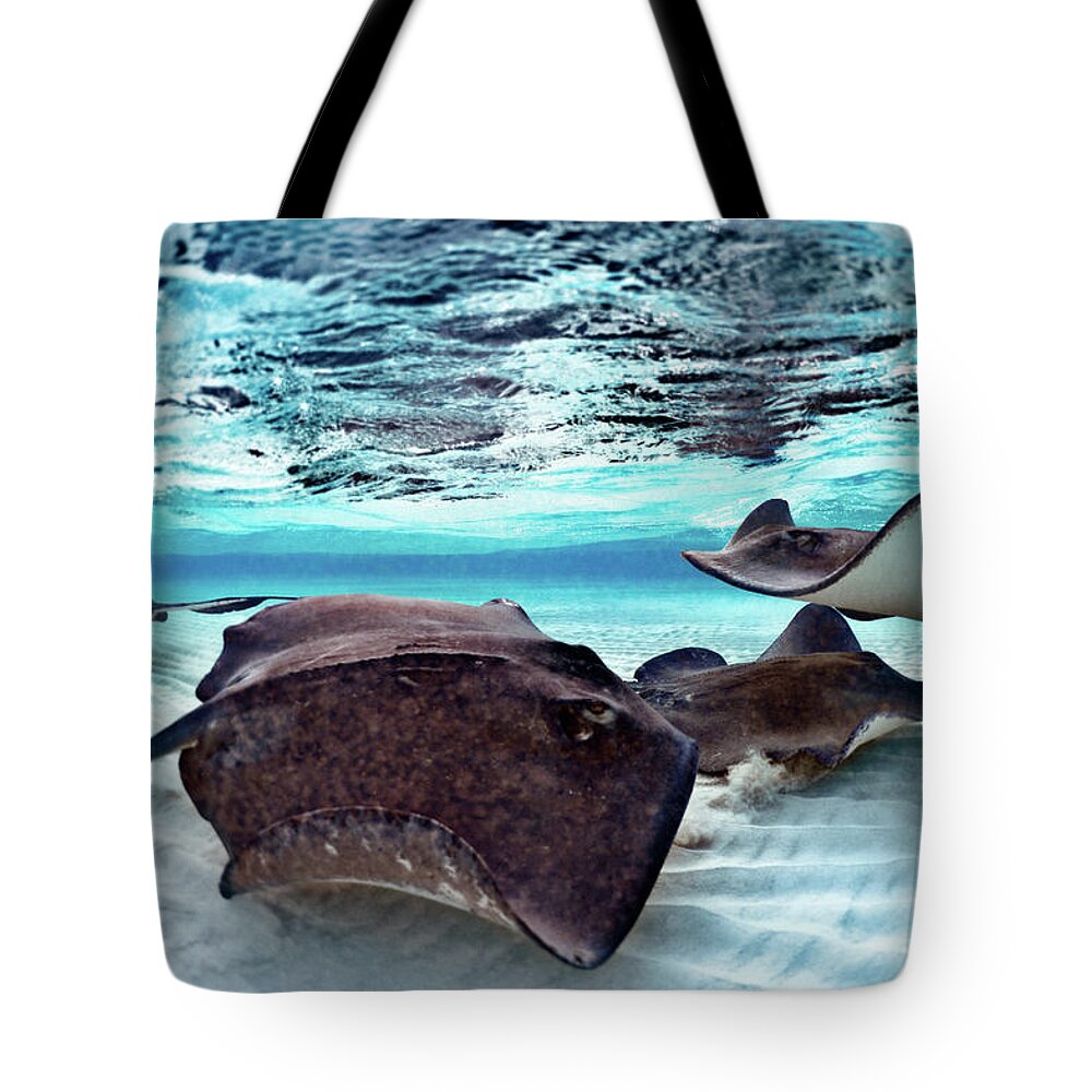Underwater Tote Bag featuring the photograph Stingrays by Extreme-photographer