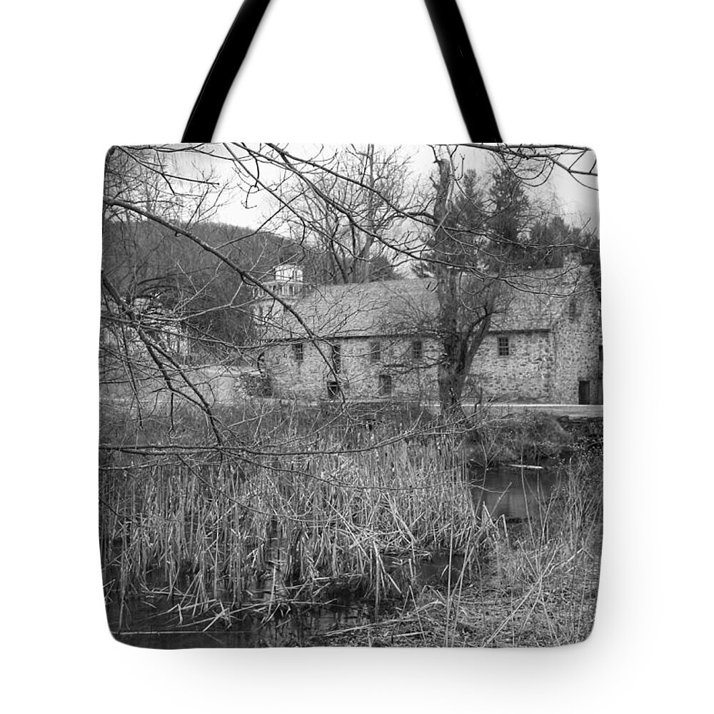 Waterloo Village Tote Bag featuring the photograph Stone and Reeds - Waterloo Village by Christopher Lotito