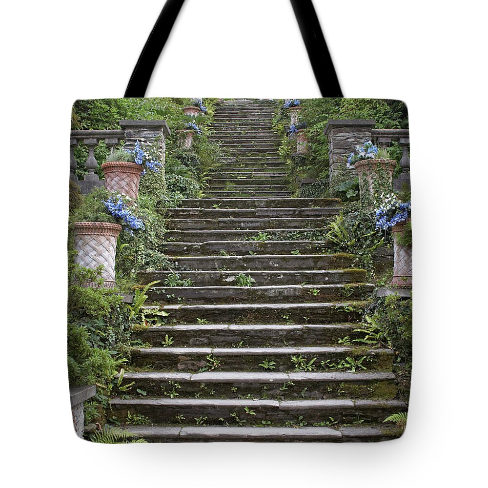 Steps Tote Bag featuring the photograph Stone Steps In Garden by Andrew Holt