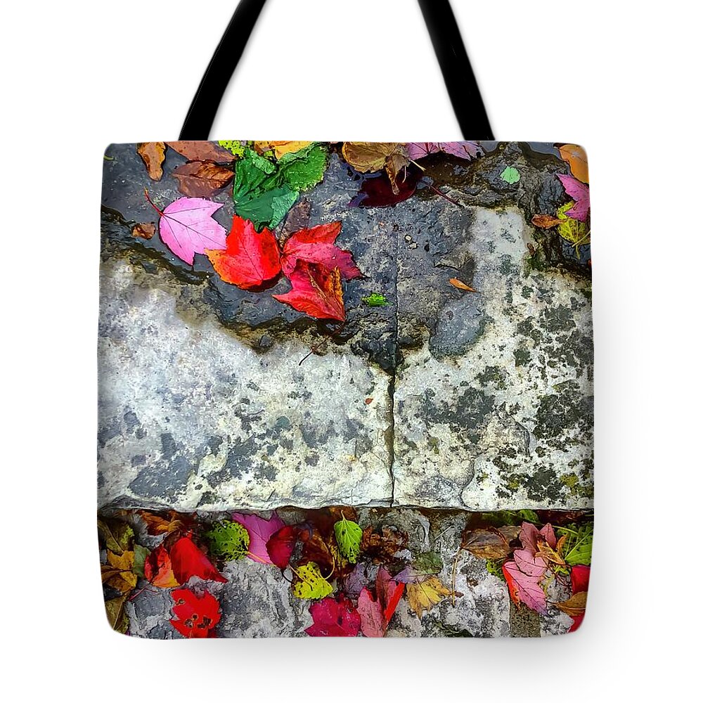 Leaves Tote Bag featuring the photograph Stone, Steps Showily Seasoned by Terri Hart-Ellis