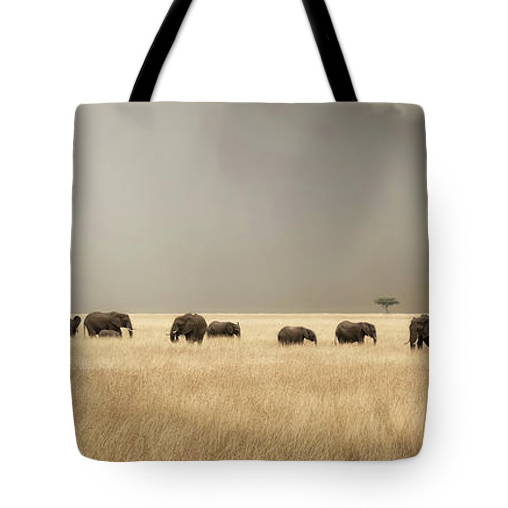 Mara Tote Bag featuring the photograph Stormy skies over the masai Mara with elephants and zebras by Jane Rix