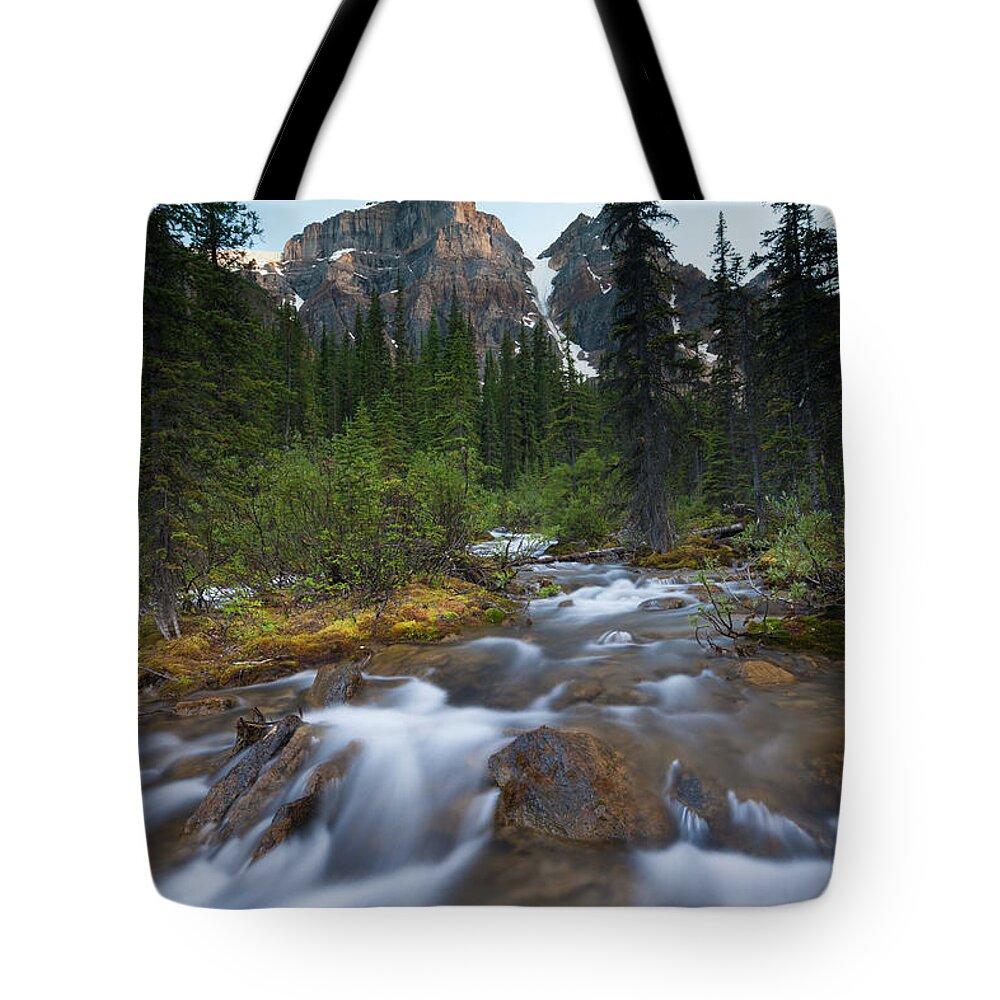 Non-urban Scene Tote Bag featuring the photograph Stream In The Valley Of The Ten Peaks by Mint Images - Art Wolfe