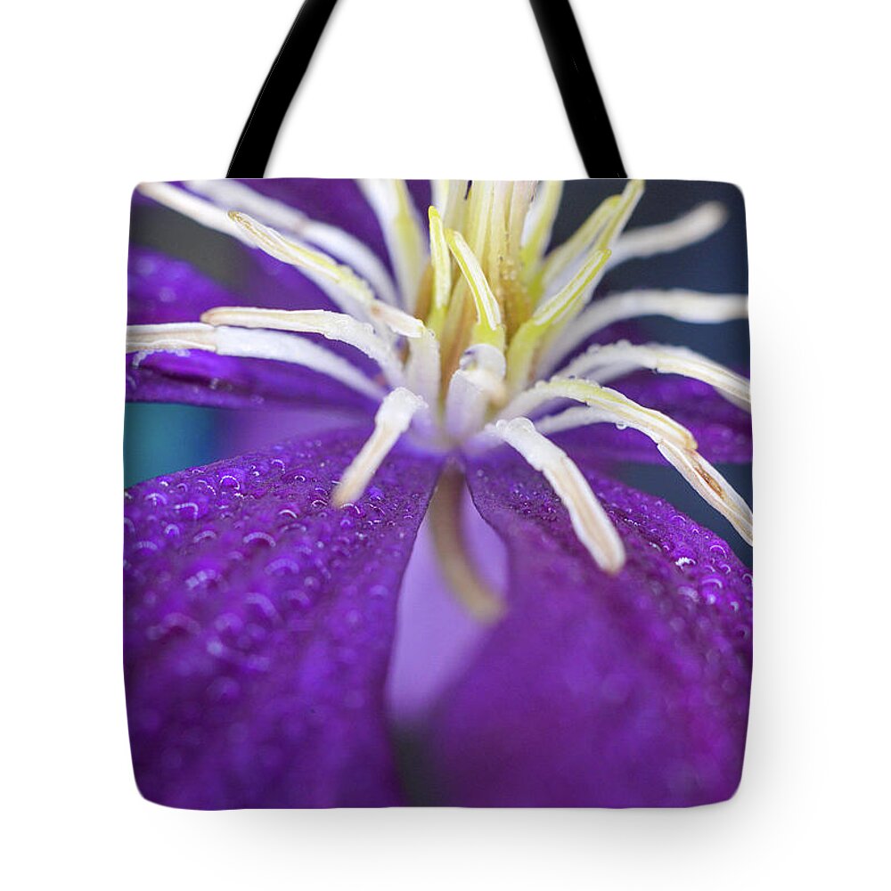 Flower Tote Bag featuring the photograph Stretch by Michelle Wermuth