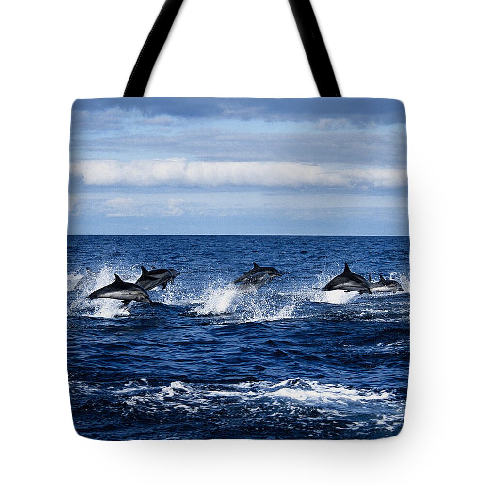 Spray Tote Bag featuring the photograph Striped Dolphin,stenella Coeruleoalba by Gerard Soury