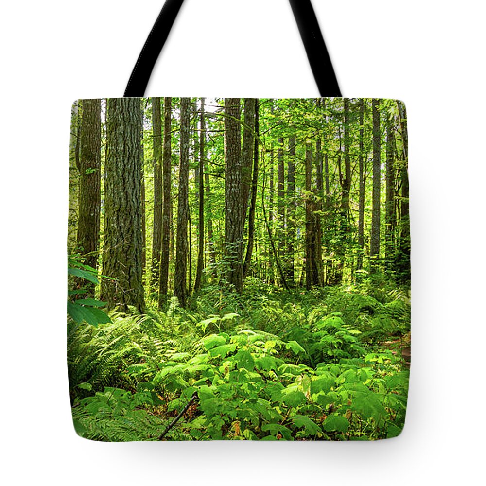 Landscapes Tote Bag featuring the photograph Stroll Among The Trees by Claude Dalley